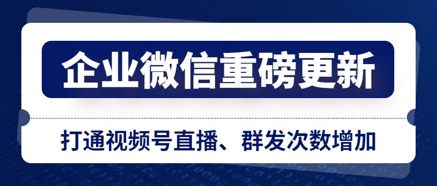 麻城信息网人才招聘网——连接企业与人才的桥梁