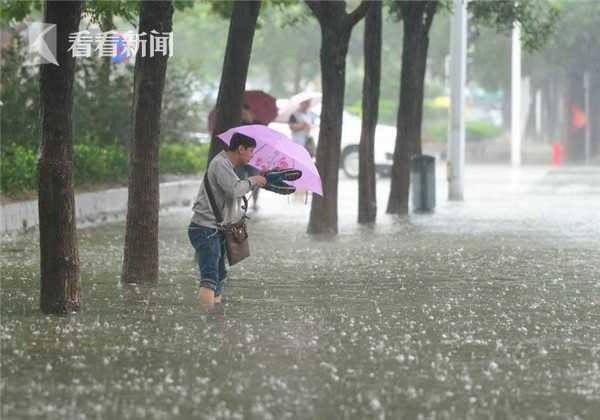 台风路径径图研究与应用