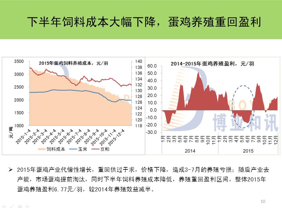 蛋鸡信息网市场分析