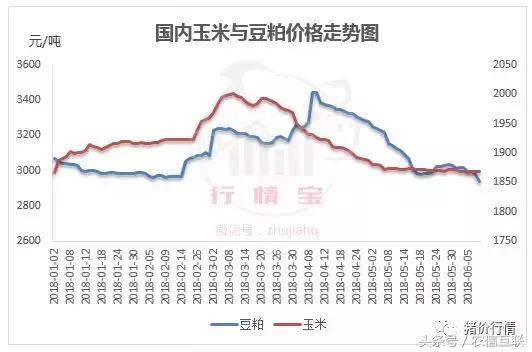 中国饲料行业信息网豆粕最新价格动态分析