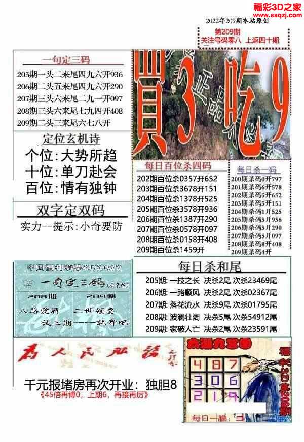 白天鹅图库红五三地图库精华布衣，探索与赏析