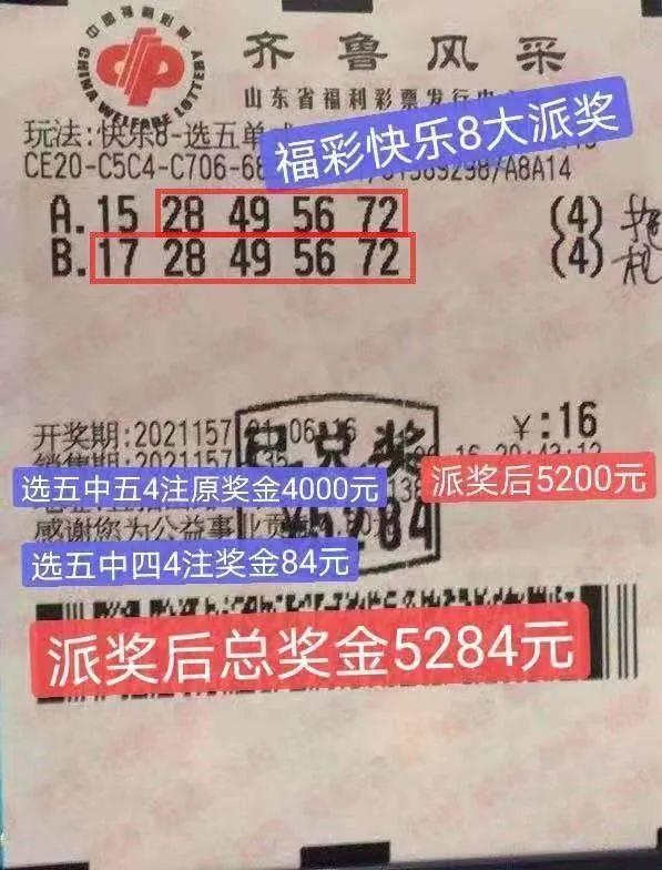 快乐8游戏，免费资料大全探索与解析