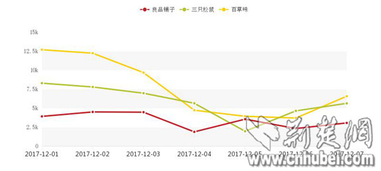 双色球走势图表中彩网电脑版，探索与解读