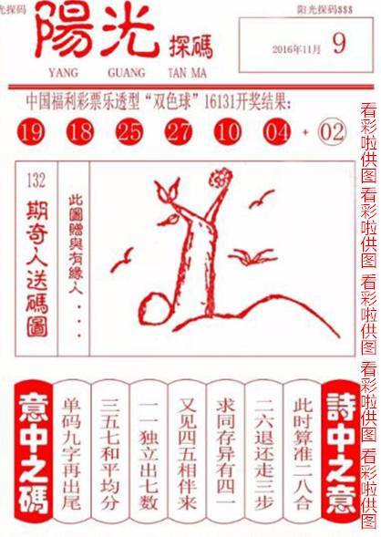 双色球彩民乐阳光探码22002，揭秘彩票背后的故事