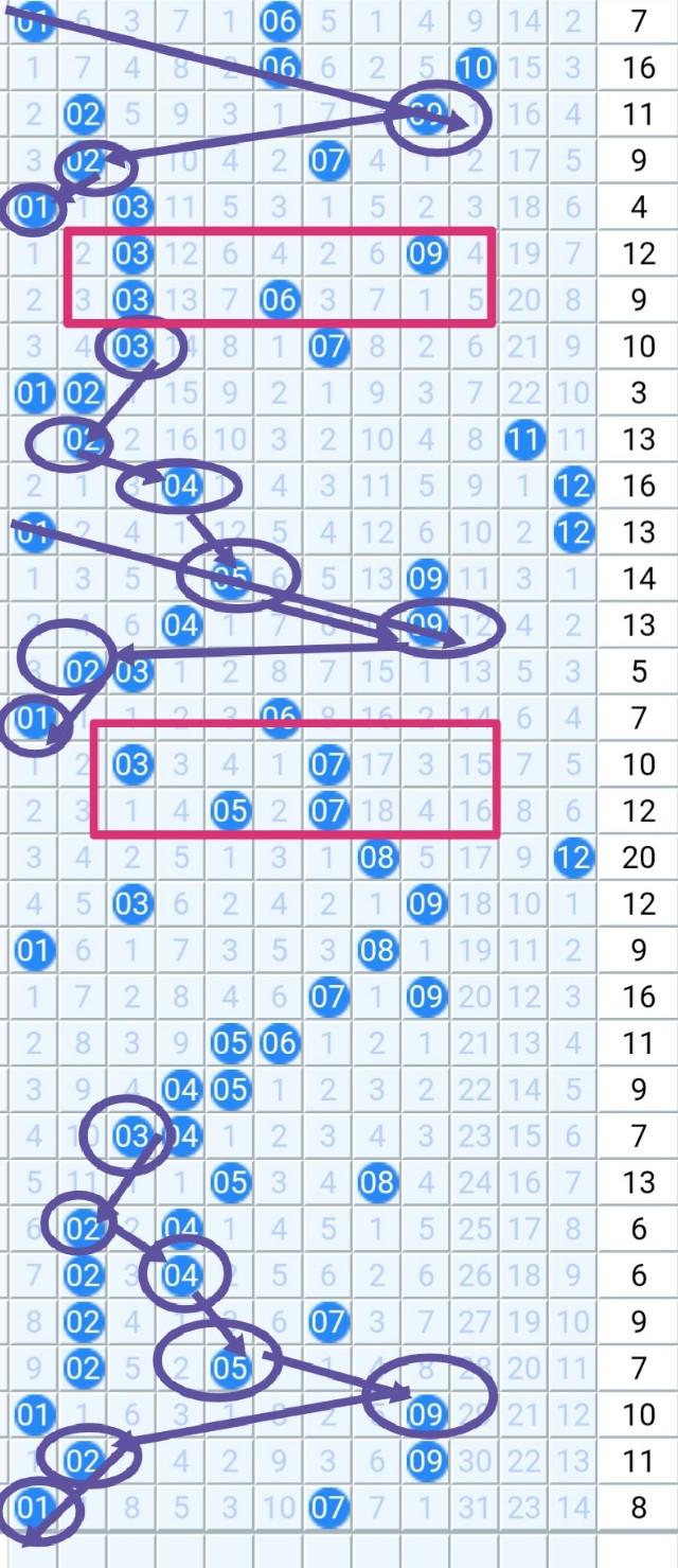 大乐透走势图，新浪网最新分析与预测