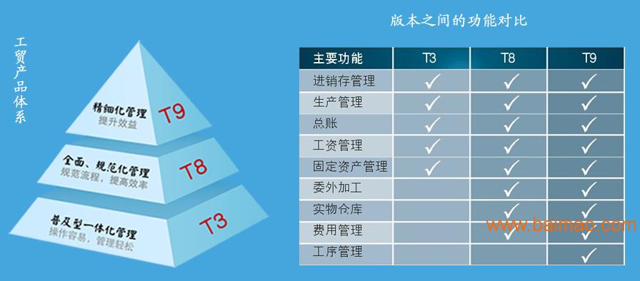 管家婆精准资料大全，提升效率与决策的利器