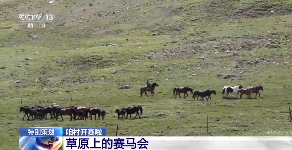 探秘香港马会开结果直播现场，速度与激情的碰撞