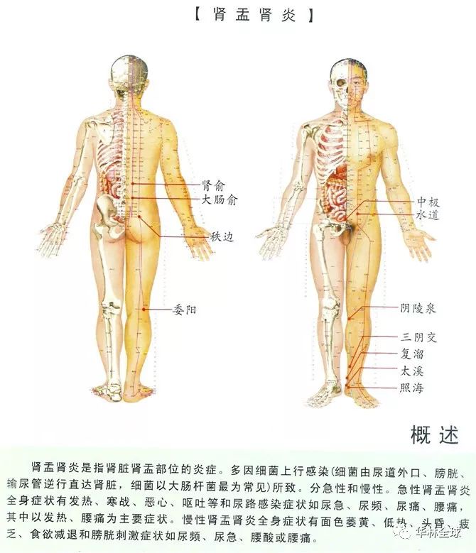 管家婆资料大全