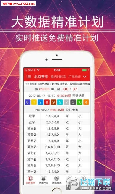 揭秘493,067彩票的神秘面纱，王中王的开奖结果与数字背后的故事493333王中王开奖结果675美人鱼