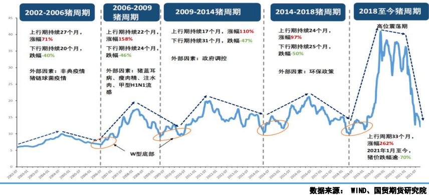 2036/8期马匹