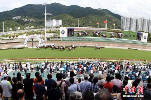 2019年香港马会资料大全，探索赛马的魅力与文化