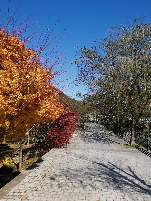 彩天堂，梦幻般的色彩之旅彩天堂软件