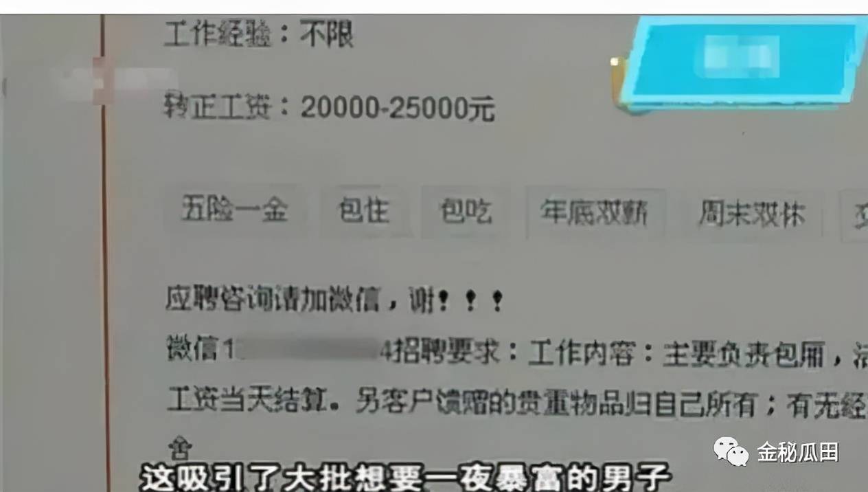 揭秘白小姐三肖，真相与误解的交织白小姐三肖三码三肖三码