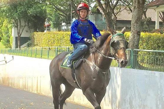 2019年香港马会资料大全，赛驹风云，尽在此间香港2021年马会资料大全