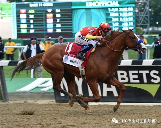 2019年香港马全年资料回顾，赛场风云与文化盛宴2020年香港马资料最准的