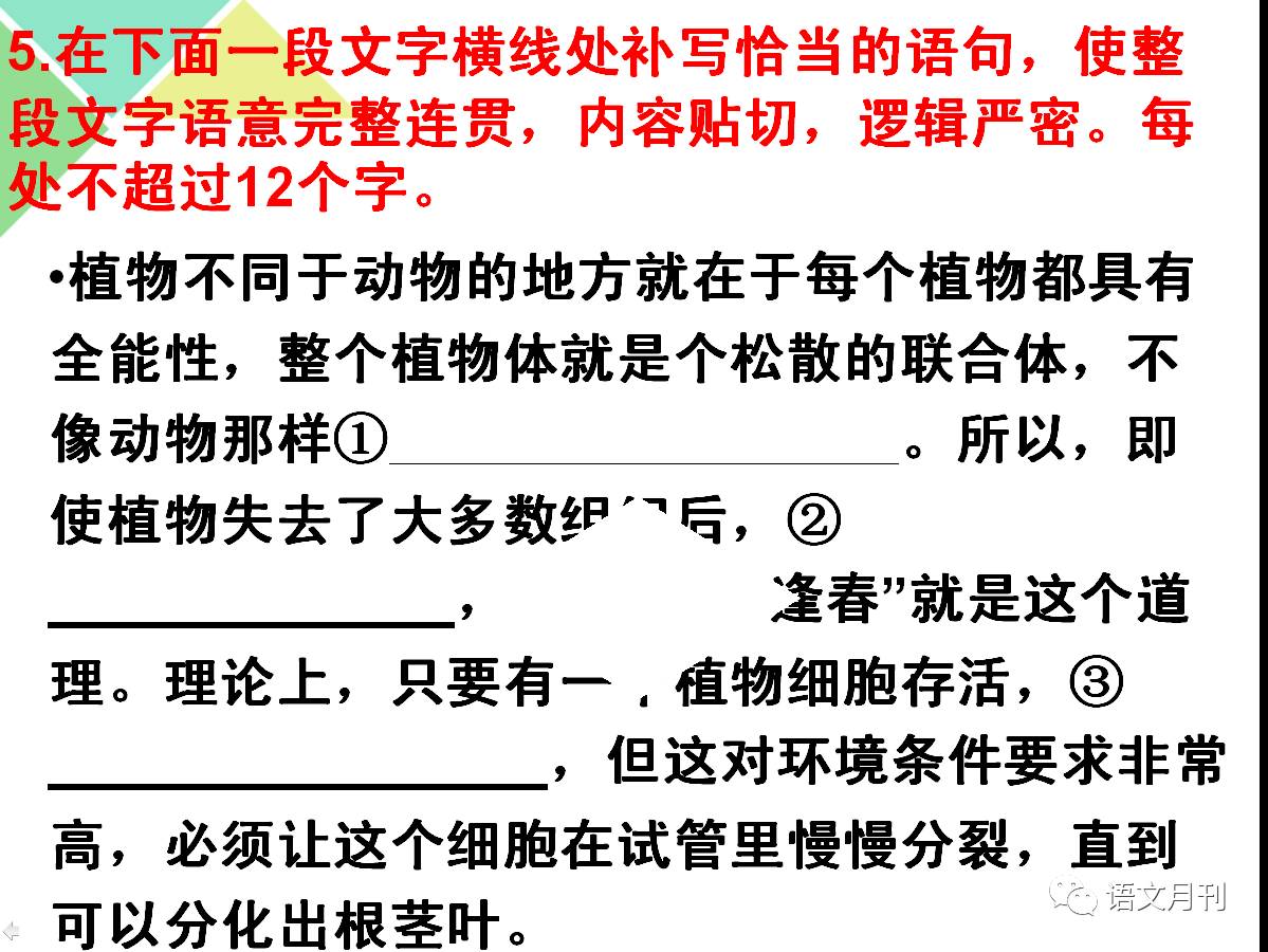 蓝月亮料全年资料大全，深度解析与实用指南蓝月亮料全年资料大全一