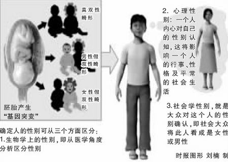 双性人生的迷思与自交图片背后的伦理探讨，一场对身份认知与社会规范的深刻反思双性人功能及结构图片