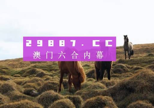 澳门开奖结果2035，回顾与展望今晚澳门开奖结果2023开奖记录