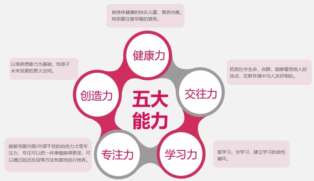 探索期四肖选一的奥秘，理性与直觉并行的投注艺术期期四肖选一肖4949