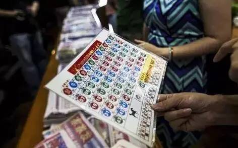 2049年香港开奖历史回顾，从数字中看变化与趋势2024年香港开奖历史记录结果