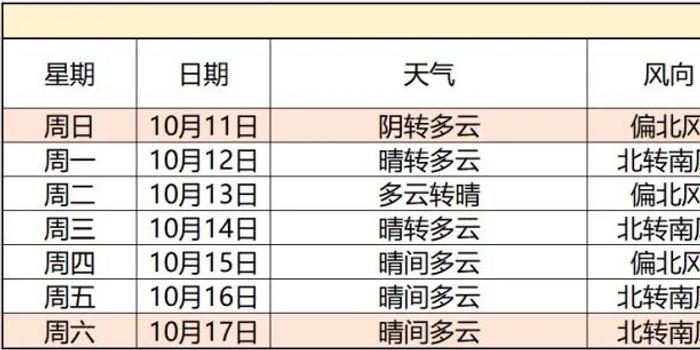 揭秘2043年今晚新澳门开奖结果，一场数字游戏的背后与影响分析2024今晚新澳门开奖结果是多少