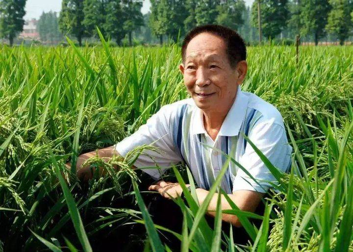 管家婆，正版图片大全的魅力与价值管家婆正版图片大全踏雪无痕