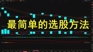 火凤凰高手论坛，网络时代的智慧碰撞与成长之旅火凤凰高手论坛官网
