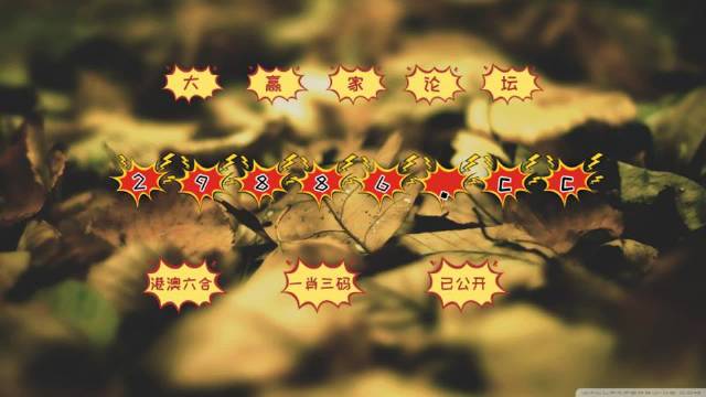 澳门六开彩，2019年全年资料回顾与解析