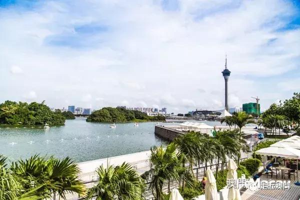 澳门6月份天气，阳光与海风交织的完美季节（视频完整在线看免费版）探索澳门的夏日魅力全记录！澳门六月份天气